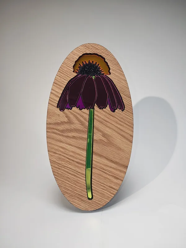 Photo of Coneflower 1
