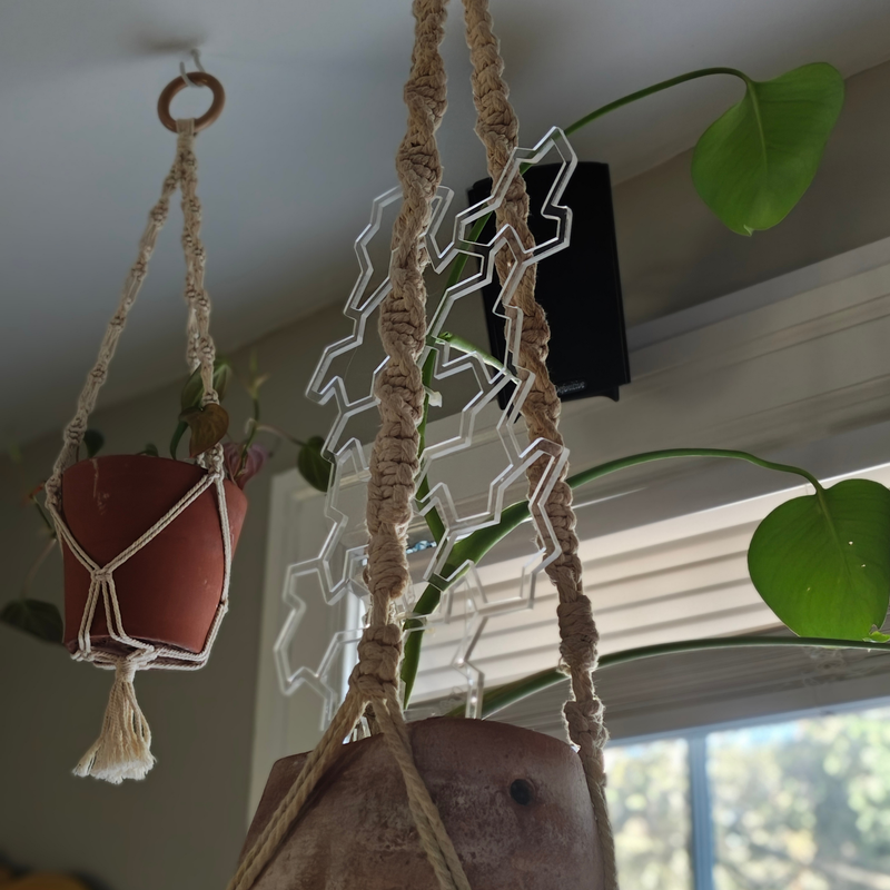 Photo of Einstein Tile Hat/T-shirt Trellis