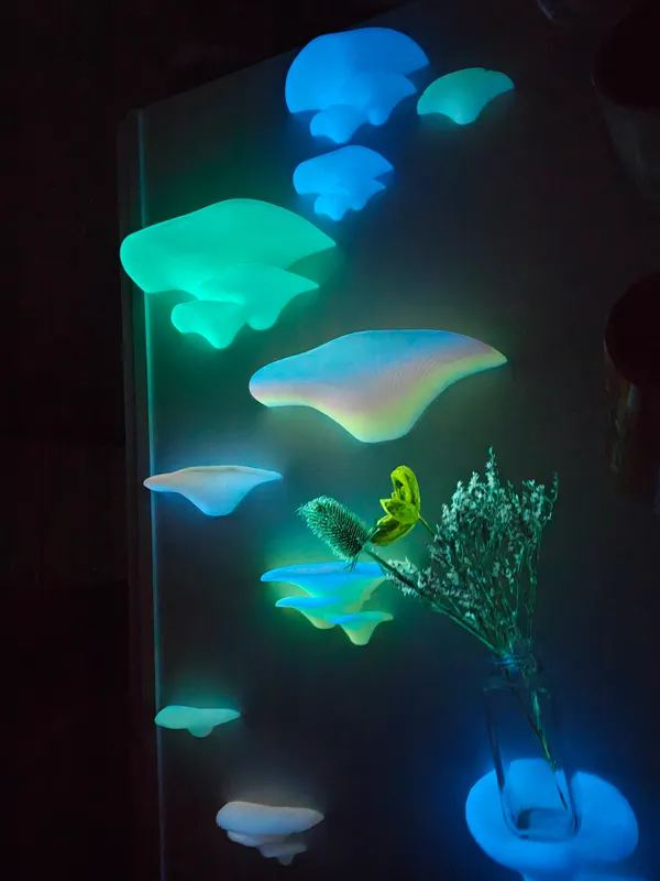 Photo of Glow Mushroom Grotto